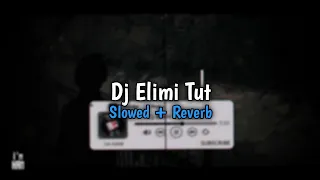 DJ ELIMI TUT Slowed + Reverb🎧