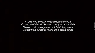 Kali - Tu Gdzie Żyjemy (TEKST)