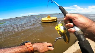 4 días PESCANDO SOLO, pesca urbana