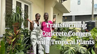 Transforming concrete corners with tropical plants