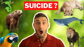 Do animals commit suicide ? Geographic World