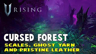🔴 Cursed Forest - V RISING Part 7