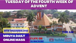 Catholic Daily Mass online |Tuesday, 20th December 2022 | 7:00AM