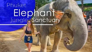 Phuket Elephant Jungle Sanctuary | Top Things to do in Phuket | Elephants in Phuket, Thailand