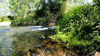 4K HDR Лесная река и музыка ветра - текущая вода и пение птиц - звуки природы для сна и расслабления