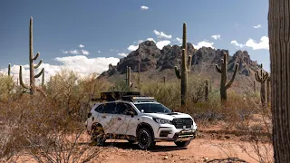 Living In A Subaru Ascent - Offroading in a Cactus Forest