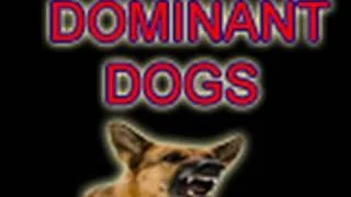 DOMINANCE DEBUNKED- The Myths & Realities of Training Dogs
