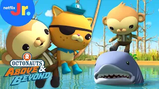 Alligator-Shark Showdown / Quest for Cocoa 🐊🦈 Octonauts: Above & Beyond FULL EPISODE