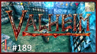 Valheim ⚔️ Staffel 2 #189 ⚔️ Karlheinz & Uschi zocken Valheim  | gameplay deutsch 🎬 484