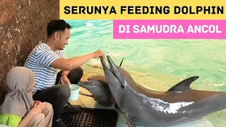 Samudra Ancol 2024 | Berbagai Atraksi Seru dan Aktivitas Menarik di Ocean Dream Samudra Ancol