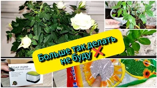 ПОРА НА МОРЕ 🌊ЗаМиокулькас Такой способ  ❌ НЕ РАБОТАЕТ 🌱 Мои комнатные растения 🪴🌹