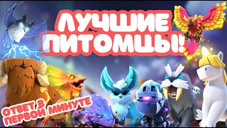 🐾 ЛУЧШИЕ ПИТОМЦЫ ДЛЯ КАЖДОЙ РАТУШИ! 14ТХ 15ТХ 16ТХ НА КАЖДОГО ГЕРОЯ CLASH OF CLANS КЛЕШ ОФ КЛЕНС CoC