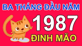 Tử Vi Tuổi Đinh Mão 1987 Trong 3 Tháng đầu năm 2024 âm lịch Giáp Thìn | Triệu Phú Tử Vi