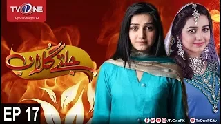 Jaltay Gulab | Episode 17 | TV One Classics | 26th November 2017