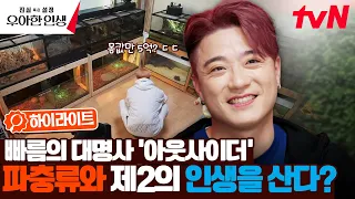 거북이 생일파티부터 5억 투자까지..? 파충류에 진심인 아웃사이더 근황👍 #highlight #진실혹은설정우아한인생 EP.6