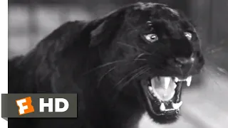 Cat People (1942) - Instrument of Death (3/8) Scene | Movieclips