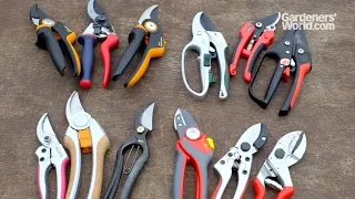 Secateurs - Buyer's Guide