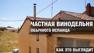 Частная винодельная обычного испанца. Как это выглядит?