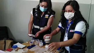 Control y vigilancia domiciliaria entomológica contra el DENGUE