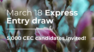 March 18 Express Entry draw | 5,000 invitations for CEC candidates