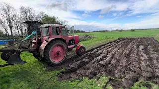 Landwirtschaftliche Traditionen: Belarus MTS 52 pflügt kleinen Acker mit 1-Schar Pflug