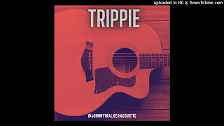 [FREE] Sad ACOUSTIC GUITAR Chris Stapleton Trippie Redd XXXTENTACION Type Beat No Drums - "TRIPPIE"