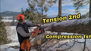 FIREWOOD CUTTING TIPS COMPRESSION 1ST. 372XP