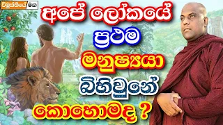 අපේ ලෝකයේ පළවෙනි මිනිසාගේ ඇතිවුණේ කොහොමද? හරිම විශ්මිත විග්‍රහයක් | Galigamuwe gnanadeepa thero bana