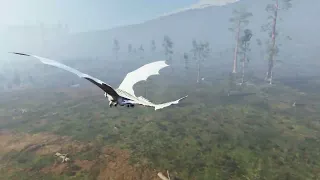 Some nice flying in Day of Dragons