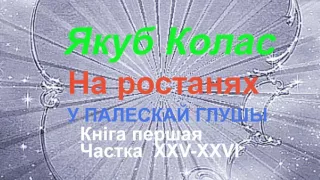 25-26. Аўдыёкніга Якуб Колас У палескай глушы Часткі 25 26  9 клас 2017 год