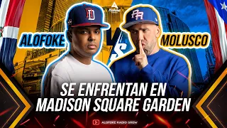 SE ENFRENTAN EN EL MADISON SQUARE GARDEN (ALOFOKE RADIO SHOW VS MOLUSCO TV UN SOLO MOVIMIENTO)