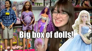 I bought a big box of dolls! 2000s Barbie, Taylor Swift etc. (I FINALLY GOT MY CHILDHOOD DOLLS BACK)