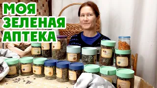 КАКАЯ ТРАВА ПОКАЖЕТ НА ПЛОХОГО ЧЕЛОВЕКА /ТРАВЫ ОТ ДЕПРЕССИИ /ДОМАШНЯЯ АПТЕЧКА ИЗ ЛЕКАРСТВЕННЫХ ТРАВ