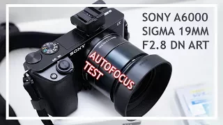 SONY A6000 + SIGMA 19mm F2.8 DN ART | AUTOFOCUS TEST