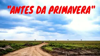 ANTES DA PRIMAVERA - Ivan Souza & Júlio César