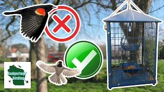 Caged Bird Feeder Test: The Solution to Aggressive Birds?