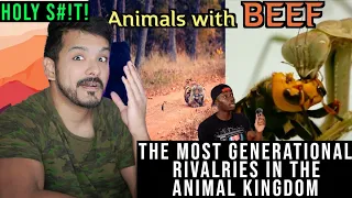 The Most Generational Rivalries in the Animal Kingdom by casual geographic reaction