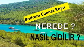 Bodrum Cennet koyu nerede nasıl gidilir. Travel BodrumTurkey