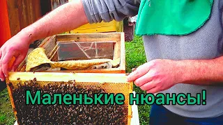 Как пересадит пчёл в новый улей. Маленькие нюансы вам в помощь.