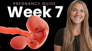 7 Week Pregnancy | Week By Week Pregnancy