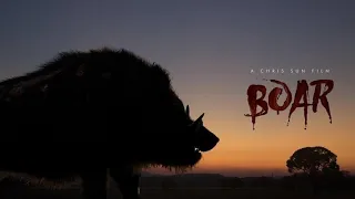 Boar (2017) Carnage Count