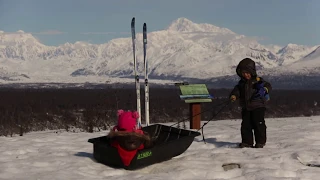 Toddler pulling a sled.