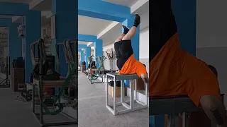 reverse back extension 20x200kg