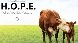 What You Eat Matters - 2018 Documentary H.O.P.E.