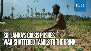 Sri Lanka's crisis pushes war-shattered Tamils to the brink