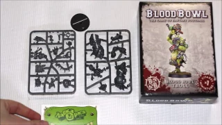 Unboxing Blood Bowl Troll