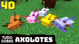 Minecraft Curiosidades: 40 FATOS sobre AXOLOTE no MINECRAFT | Como domesticar Axolote no Minecraft?