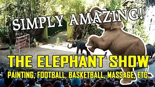 The Amazing Elephant Show - Safari World Thailand. Football, Basketball, Painting, Massage, etc.