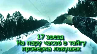 17 заезд На пару часов в тайгу Проверка ловушек  29 01 19