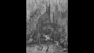 La Chauve souris et les deux Belettes, Fables de La Fontaine - Jean de La Fontaine  ( AudioBook FR )